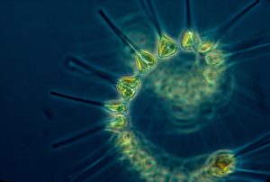 7 skutecznych trików upiększających naturalną urodę